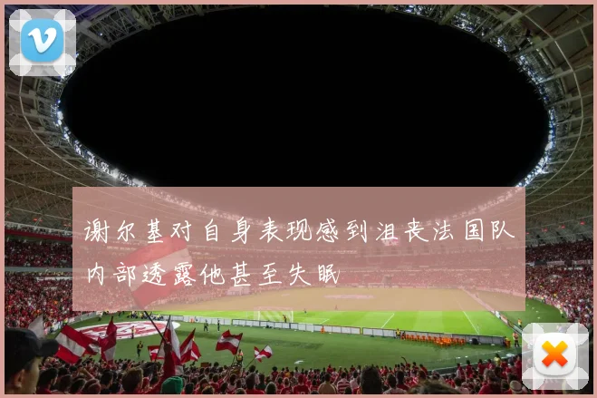 谢尔基对自身表现感到沮丧法国队内部透露他甚至失眠